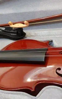 ویالون ۱۷ ساله آکبند لوکاتو درجه یک آکبند