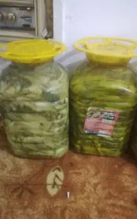 فروش ت شی بیلهر