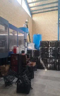 استخدام نیروی کار