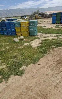 کندوی زنبورعسل