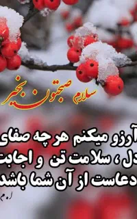 الاغ۲ساله جوان گله ای بشرط قیمت توافقی