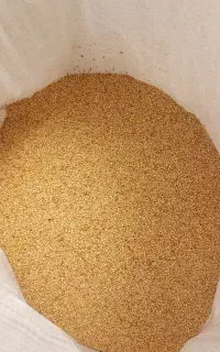 ارزن بومی اصفهان(زیر قیمت)