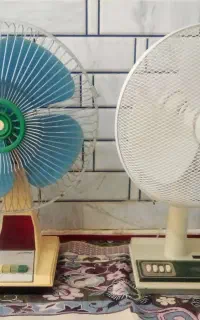 پنکه