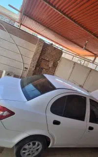 ساینا در حد خشک