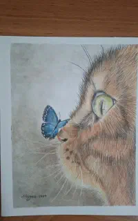 تابلو گربه