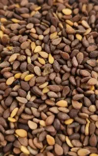 خمیر مایع
