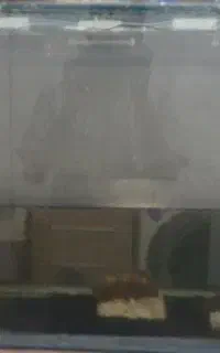 آکواریوم