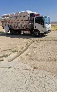 فروش کاه درجه یک