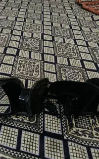 آینه بغل ریو فابریک