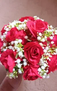 گل عروس