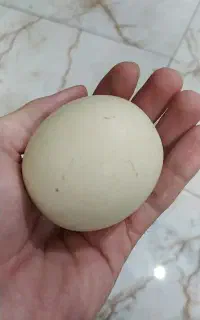 الماس آسیاب اصل