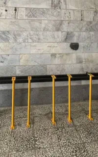 دوستان باشگاه دار