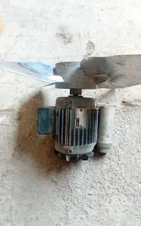 دینام +پروانه