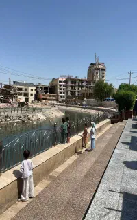 کاروان زمینی و هوایی کربلای معلا (عتبات عالیات)