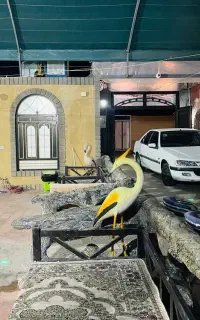 اتاق /سوئیت/ خانه مسافر/هم کف /مرکزشهر