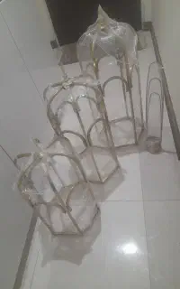 جاشمعی کنار سالنی