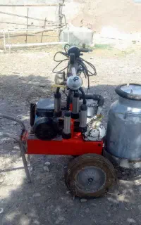 شیردوش و کف کش سالم