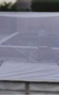 پشه بند بزرگ