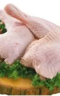 غذای سگ