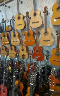 گیتار انتخابی عالی
