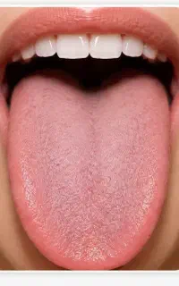 زبان شناسی و اصلاحات تخصصی بدن
