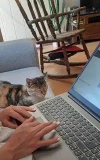 آموزش طراحی سایت به صورت پروژه محور