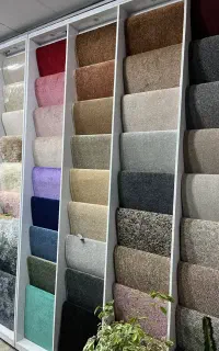 موکت