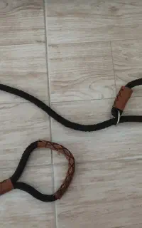 قلاده سگ