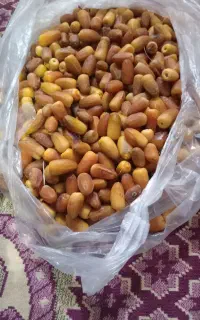 رطب