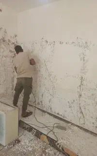 سمپاشی (هرکی کارخوب براش مهمه ) موریانه وحشرات
