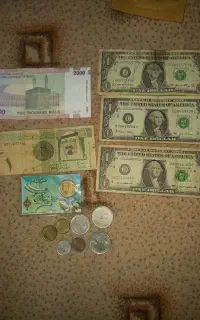 تعدادی سکه و اسکناس کلکسیونی مخصوص کلکسیونرا