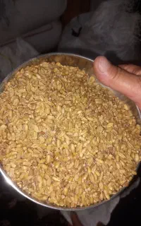 سلام گندم‌آمد‌برای‌ترخینه‌