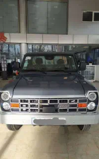 نیسان دوگانه اکستند405خاکستری