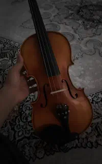 ویولن SANDNER SV1
