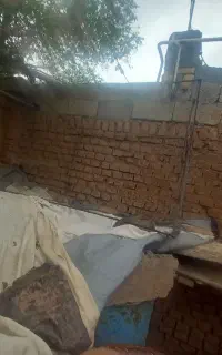 قفس کفتر