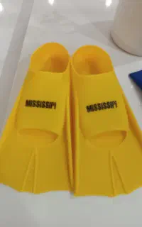 فین شنا