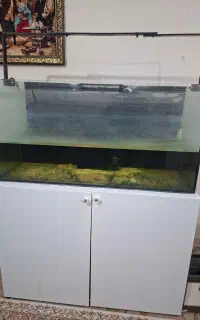 اکواریوم