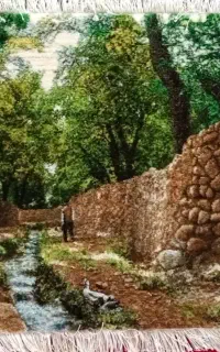 فرش