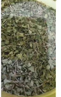 اوریشم گرمسیر تمیز