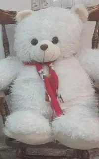 خرس سایز بزرگ