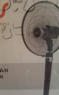 پنکه تولیپس