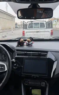 ماشین X22poro