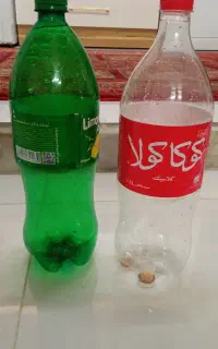 بطری