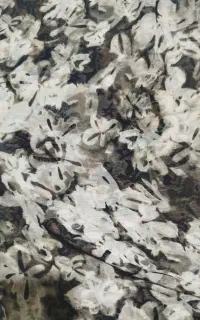 چادر وال ژاپنی نو تازه دوختم