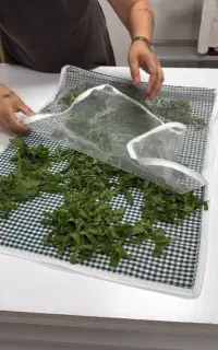 میوه  و سبزی خشک کن