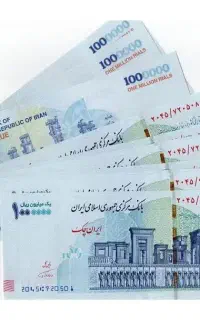کارباگوشی درخانه