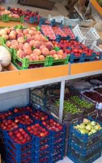 وسایل لوازم  میوه فروشی