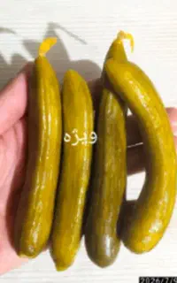 خیارشور بروجرد ونایی