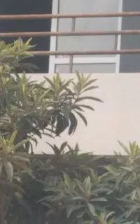 جوشکار و تخریب و بنایی