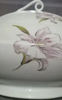 یک عدد سوپ خوری